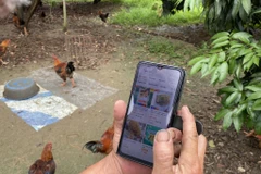 Những người lớn tuổi thường là các đối tượng dễ bị lừa đảo qua mạng. (Nguồn: Vietnam+)