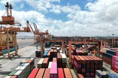 Cẩu tháp và kho bãi chứa container tại Cảng hải Phòng. (Ảnh minh họa: Tuấn Anh/TTXVN)