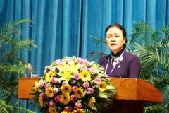 Bí thư Đảng đoàn, Chủ tịch Liên hiệp các Tổ chức Hữu nghị Việt Nam Nguyễn Phương Nga phát biểu tại Hội nghị. (Ảnh: Lê Phước Ngọc/TTXVN)