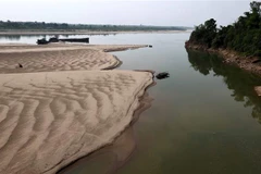 (Ảnh minh họa: Trung Kiên/TTXVN)