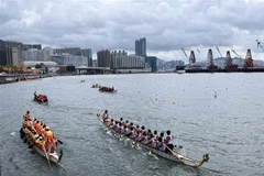 Các đội tham gia đua Thuyền Rồng tại cảng Victoria, Hong Kong. (Ảnh: Mạc Luyện/TTXVN)