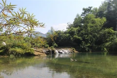 (Ảnh minh họa: Chu Hiệu/TTXVN)