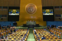 Chuyên gia Đức: UNCLOS có ý nghĩa quan trọng đối với an ninh hàng hải