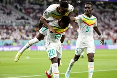 Link xem trực tiếp Ecuador-Senegal tranh vé vòng 1/8 World Cup 2022