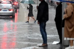 Australia hối thúc người dân New South Wales sơ tán đề phòng lũ lụt