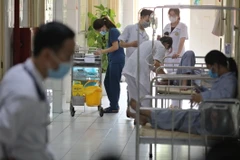 Bệnh nhân mắc sốt xuất huyết đang điều trị. (Ảnh minh họa: Minh Quyết/TTXVN)