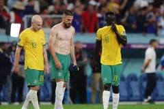 Link xem trực tiếp Tunisia-Australia quyết đấu tại bảng D World Cup