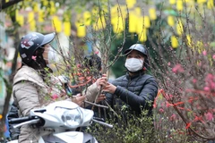 Hà Nội: Tổ chức 91 điểm chợ hoa Xuân phục vụ Tết Nguyên đán 2023