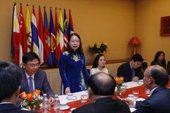 Phó Chủ tịch nước Võ Thị Ánh Xuân gặp gỡ cộng đồng người Việt tại Pháp