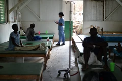WHO cảnh báo nguy cơ gia tăng số ca mắc bệnh tả tại Haiti