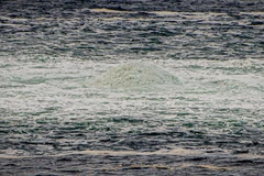 Khí methane rò rỉ từ sự cố Dòng chảy phương Bắc ít hơn so với lo ngại