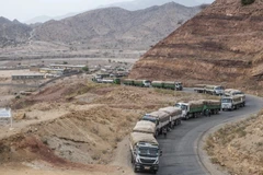 Đoàn xe viện trợ đầu tiên đến Tigray kể từ sau thỏa thuận hòa bình