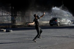  Ai Cập kêu gọi ngừng ngay lập tức bạo lực ở vùng lãnh thổ Palestine