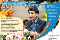Chân dung Chủ tịch Tổng Liên đoàn Lao động Việt Nam Bùi Văn Cường
