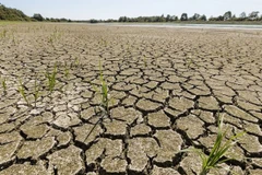 Quang cảnh khô hạn tại miền Nam nước Pháp. (Nguồn: nouvelobs.com)