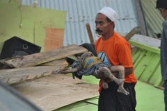 Chuyển thi thể một em nhỏ sau động đất kèm sóng thần ở Palu, đảo Sulawesi, Indonesia ngày 29/9/2018. (Ảnh: AFP/TTXVN)