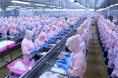 (Ảnh minh họa: Vũ Sinh/TTXVN)