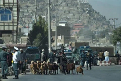 Hiện trường vụ đụng độ giữa lực lượng an ninh Afghanistan và phiến quân tại thủ đô Kabul ngày 21/8. (Ảnh: AFP/TTXVN)