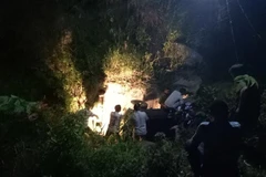 (Ảnh minh họa: Trần Văn Hoàng/TTXVN)