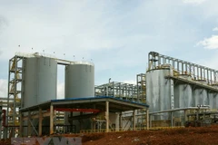 (Ảnh: Ngọc Hà/TTXVN)