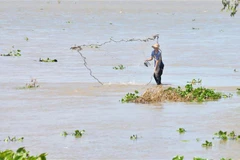(Ảnh minh họa: Công Mạo/TTXVN)