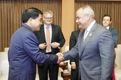 (Ảnh: Lâm Khánh/TTXVN)