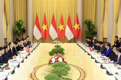 Chủ tịch nước Trần Đại Quang và Tổng thống Indonesia Joko Widodo hội đàm chính thức. (Ảnh: Nhan Sáng/TTXVN)
