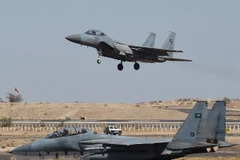 Máy bay tiêm kích F-15 của Nhật Bản. (Nguồn: AFP/TTXVN)