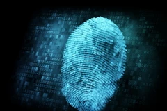 Ảnh minh họa. (Nguồn: fbi.gov)