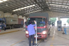 (Ảnh minh họa: Hiền Anh/TTXVN)