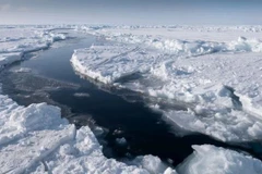 Ảnh minh họa. (Nguồn: BBC)