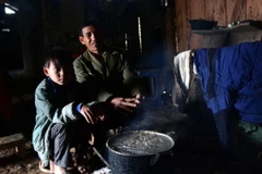 (Ảnh minh họa: Văn Dũng/TTXVN)