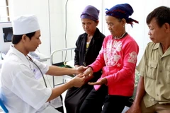 (Ảnh minh họa: Dương Ngọc/TTXVN)