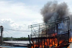 (Ảnh minh họa: Tá Chuyên/TTXVN)