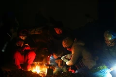 (Ảnh minh họa: Phan Tuấn Anh/TTXVN)