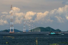 (Ảnh minh họa: Ngọc Hà/TTXVN)