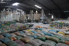 Dây chuyền lau bóng gạo, xay lúa và sấy lúa với công nghệ hiện đại của công ty có khả năng cung ứng 30.000-50.000 tấn gạo thành phẩm/tháng. (Ảnh: Lê Sen/TTXVN)