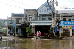 (Ảnh minh họa: Huỳnh Sử/TTXVN)