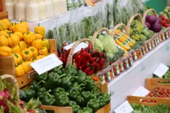 VinEco có 14 nông trường trên cả nước, hơn 800 Hợp tác xã liên kết. (Ảnh: Minh sơn/Vietnam+)