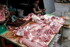 (Ảnh minh họa/TTXVN)