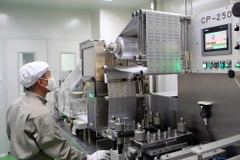 Cả nước có 5.900 doanh nghiệp thành lập mới trong tháng Hai. (Ảnh minh họa. Nguồn: PV/Vietnam+)