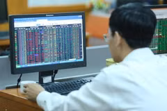 Phiên ngày 16/4, VN-Index giảm nhẹ giảm 5,73 điểm xuống mức 977,17 điểm. (Ảnh minh hoạ. Nguồn: PV/Vietnam+)