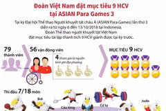 Đoàn Việt Nam đặt mục tiêu 9 huy chương vàng tại ASIAN Para Games 3.