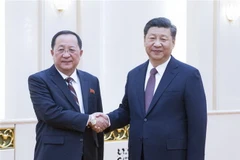 Chủ tịch Trung Quốc Tập Cận Bình (phải) và Ngoại trưởng Triều Tiên Ri Yong Ho (trái) trong cuộc gặp tại Bắc Kinh, Trung Quốc ngày 7/12. (Ảnh: THX/TTXVN)