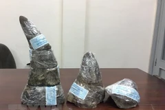 Ảnh minh họa. (Nguồn: TTXVN)