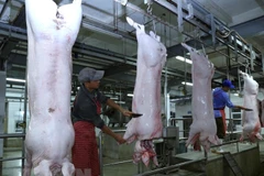 Ảnh minh họa. (Nguồn: TTXVN)