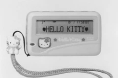 (Nguồn: Kyodo News)