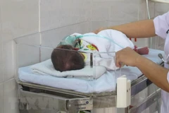 Ảnh minh họa. (Nguồn: TTXVN)