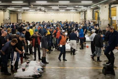 Cảnh tấp nập tại chợ cá Tsukiji. (Nguồn: AFP)