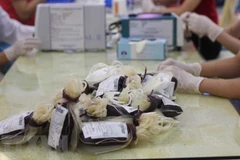 Ảnh minh họa. (Nguồn: TTXVN)